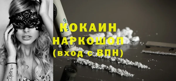 гашик Аркадак