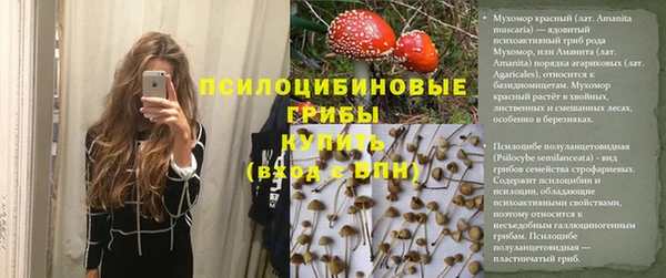 ALPHA PVP Баксан