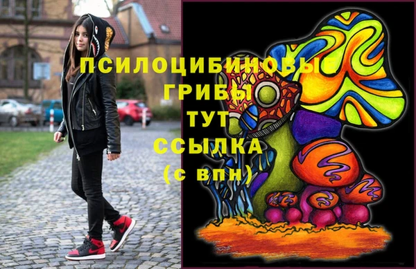 mix Арсеньев