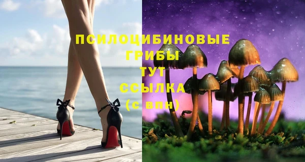 гашик Аркадак