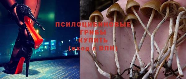 ALPHA PVP Баксан