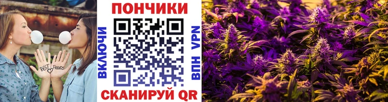 сколько стоит  Грайворон  Канабис планчик 